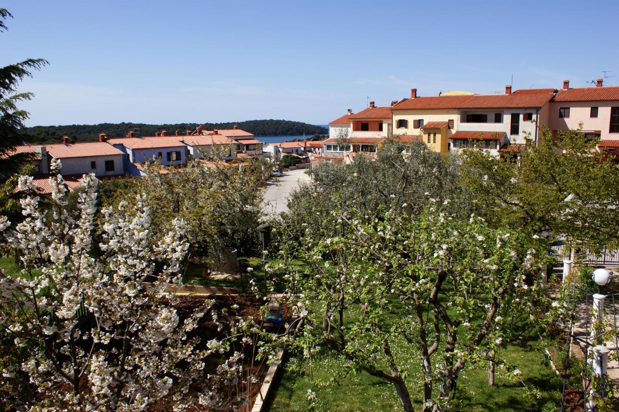 Apartments Cezar Vinkuran Eksteriør billede